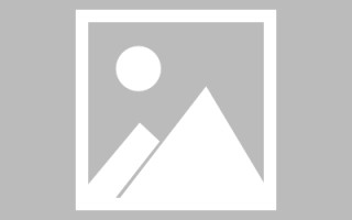 南阳网页优化和设计人才（网站优化职位）